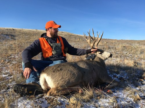 deer4.jpg deer4.jpg