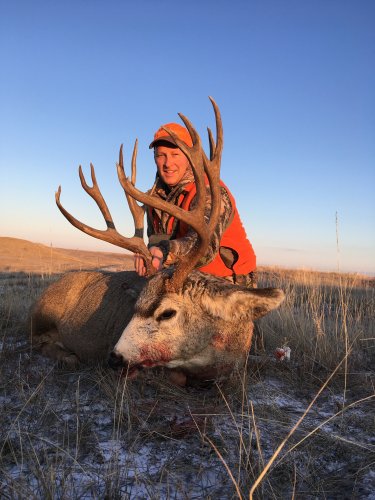 deer3.jpg deer3.jpg