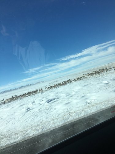 E09D425B-E854-4544-A5B8-5EC4C5D0F052.jpeg