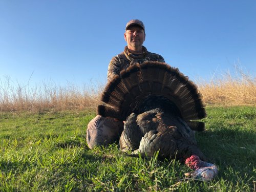 Russ Turkey 2019.jpg