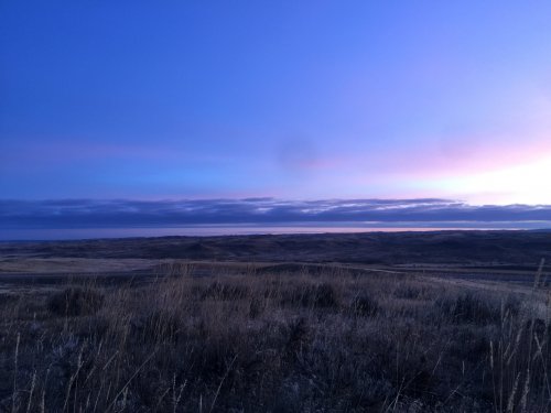 1F59DF68-CD6F-42E1-A374-D39EE2C57B3D.jpeg