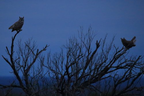 _MG_4418.JPG