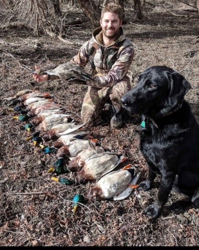Ducks.jpg Ducks.jpg