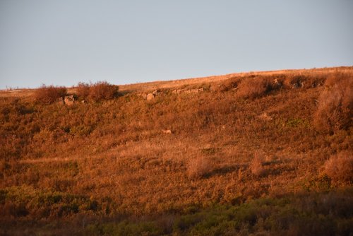 DSC_5999.JPG DSC_5999.JPG