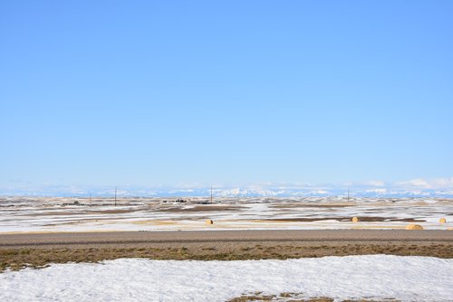 DSC_6007.JPG DSC_6007.JPG
