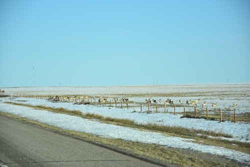 DSC_6010.JPG DSC_6010.JPG