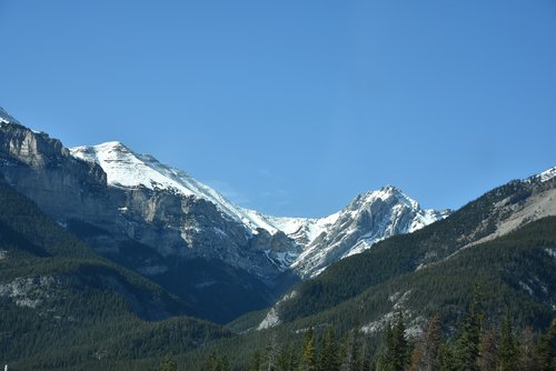 DSC_6033.JPG DSC_6033.JPG