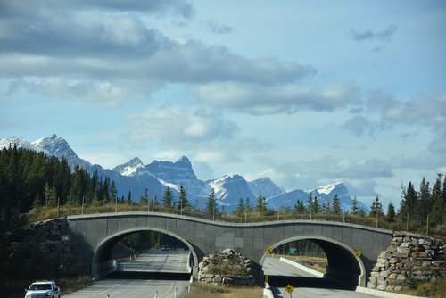DSC_6075.JPG DSC_6075.JPG