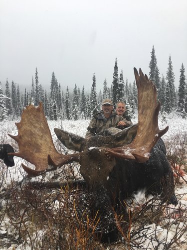 First moose 2.jpg