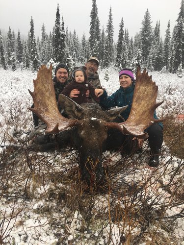 First moose.jpg