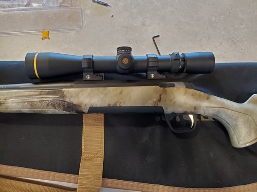 Browning.Leupold.jpg