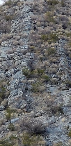 20200110_143646.jpg 20200110_143646.jpg