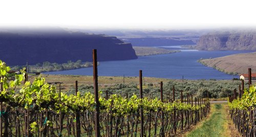sliders_ancient_lakes1500x800-2-1.jpg sliders_ancient_lakes1500x800-2-1.jpg