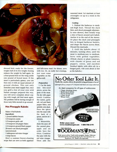 duck kabob recipe.jpg duck kabob recipe.jpg