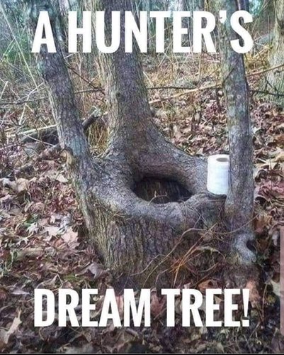 huntersdreamtea.jpg