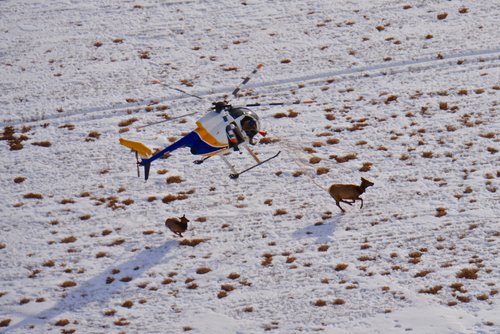 DSC_9581.jpg DSC_9581.jpg