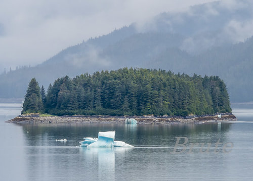 Iceberg   a-7503.JPG