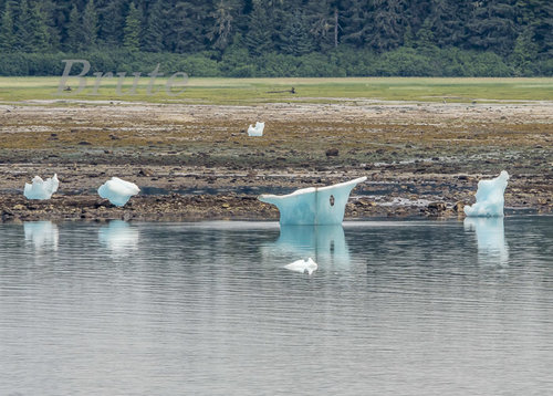Iceberg   a-7521.JPG
