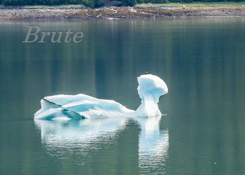 Iceberg   a-7507.JPG