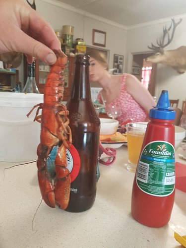 20191225_115439.jpg 20191225_115439.jpg