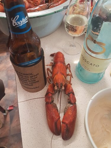 20191225_115423.jpg 20191225_115423.jpg