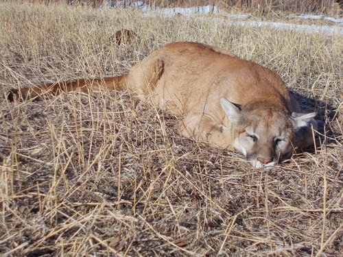 DSCN0245 (1200x900).jpg