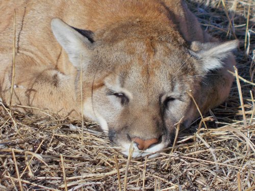 DSCN0243 (1200x900).jpg