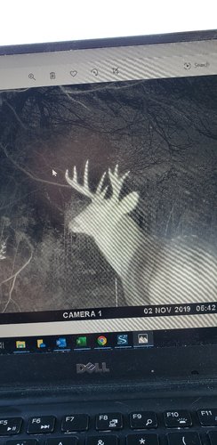 Trail Cam 1.jpg