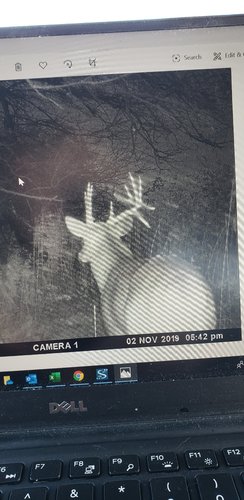 Trail Cam 2.jpg