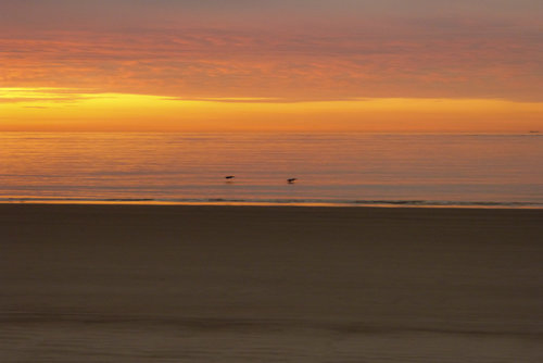 P1050904e.jpg