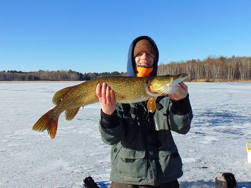 34 in. Pike Briggs Lake.JPG