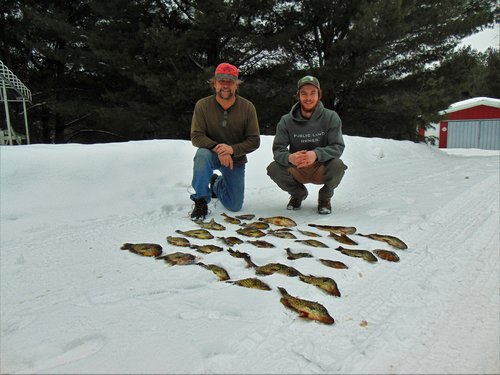 Catch from Johnson, Crooked, and Bear Track Lakes.JPG