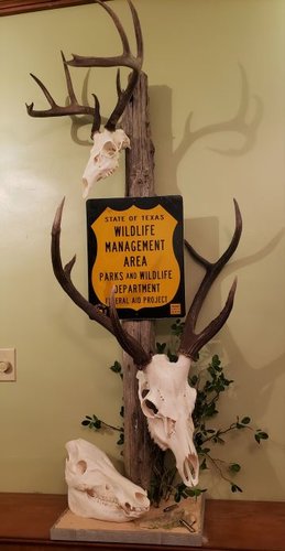 TX euro mount 2.jpg TX euro mount 2.jpg