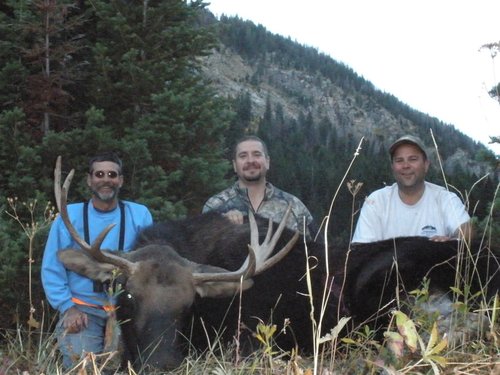 Moose Group.JPG