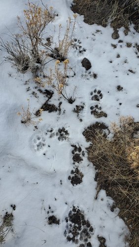 20200129_123720.jpg