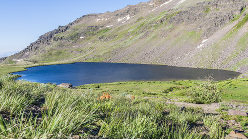 Wld Horse Lake Steens Mt.  July 2016   4 merge.JPG