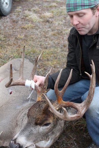 deans buck 6-533x800.JPG deans buck 6-533x800.JPG
