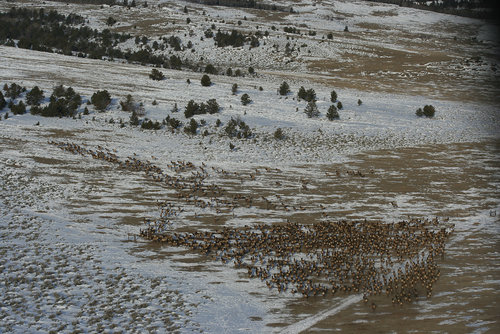 Muddy%20Mnt.jpg