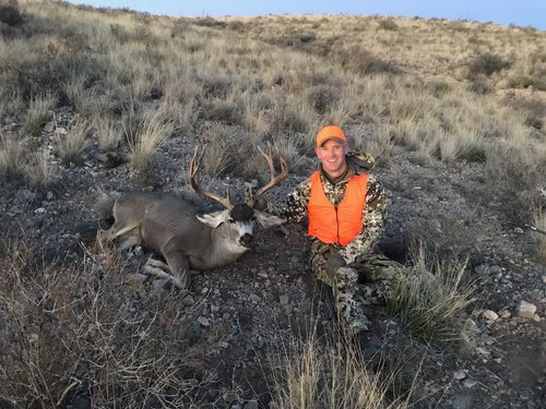 IMG_0342.jpg IMG_0342.jpg