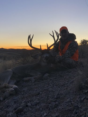 IMG_8011.jpg IMG_8011.jpg