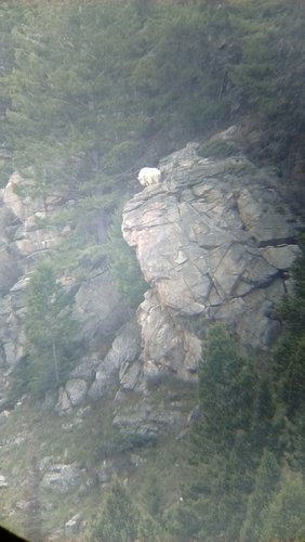 IMG_20170512_190154332.jpg