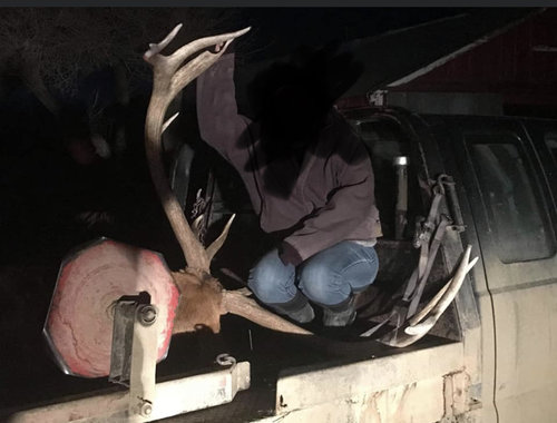 2FAEC6CC-3C02-4803-920F-127FDF0F004B.jpeg 2FAEC6CC-3C02-4803-920F-127FDF0F004B.jpeg