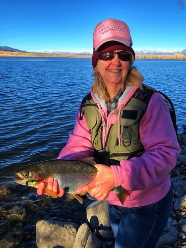 Terri Adams 2-7-20A.jpg