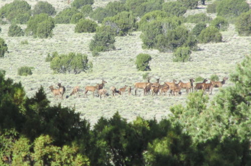 July 18 043.JPG July 18 043.JPG