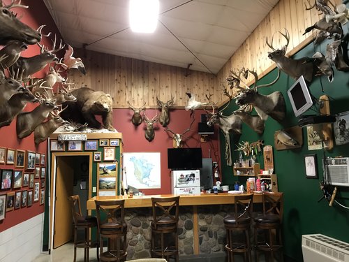 IMG_0022.JPG IMG_0022.JPG