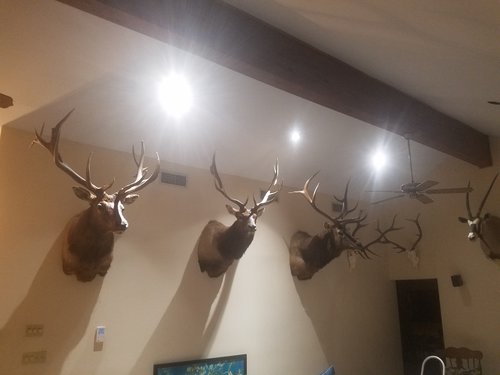 20180112_205811.jpg 20180112_205811.jpg