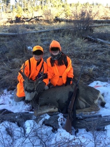 Deer 2019_LI.jpg