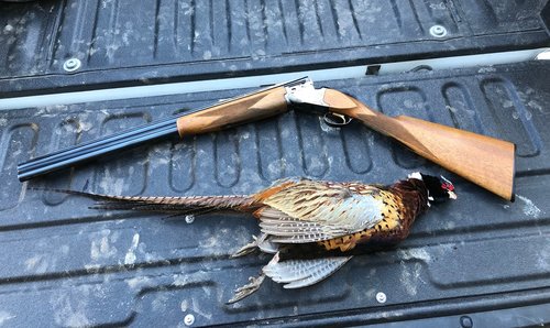 Browning.jpg Browning.jpg