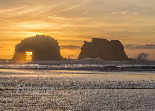 Twin Rocks February 2020 a -3628.JPG