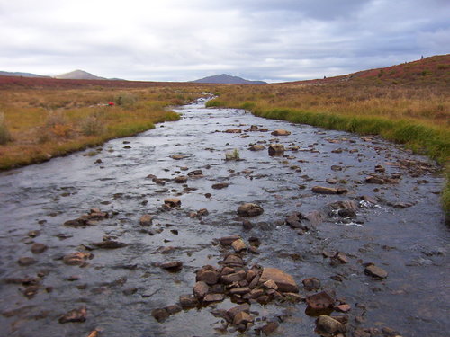 creek.jpg creek.jpg